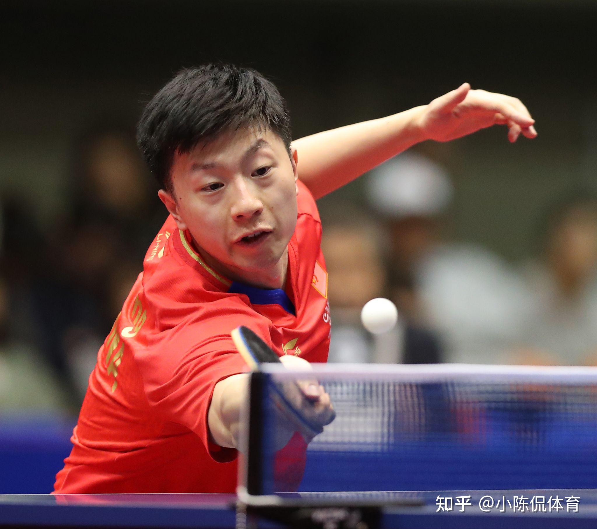 子不仅意味 子不仅意味