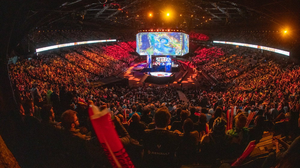 动物福利与 动物福利与